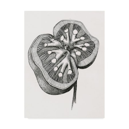 Trademark Fine Art Lucy Loo Wales 'Kidney' Canvas Art, 18x24 ALI42863-C1824GG